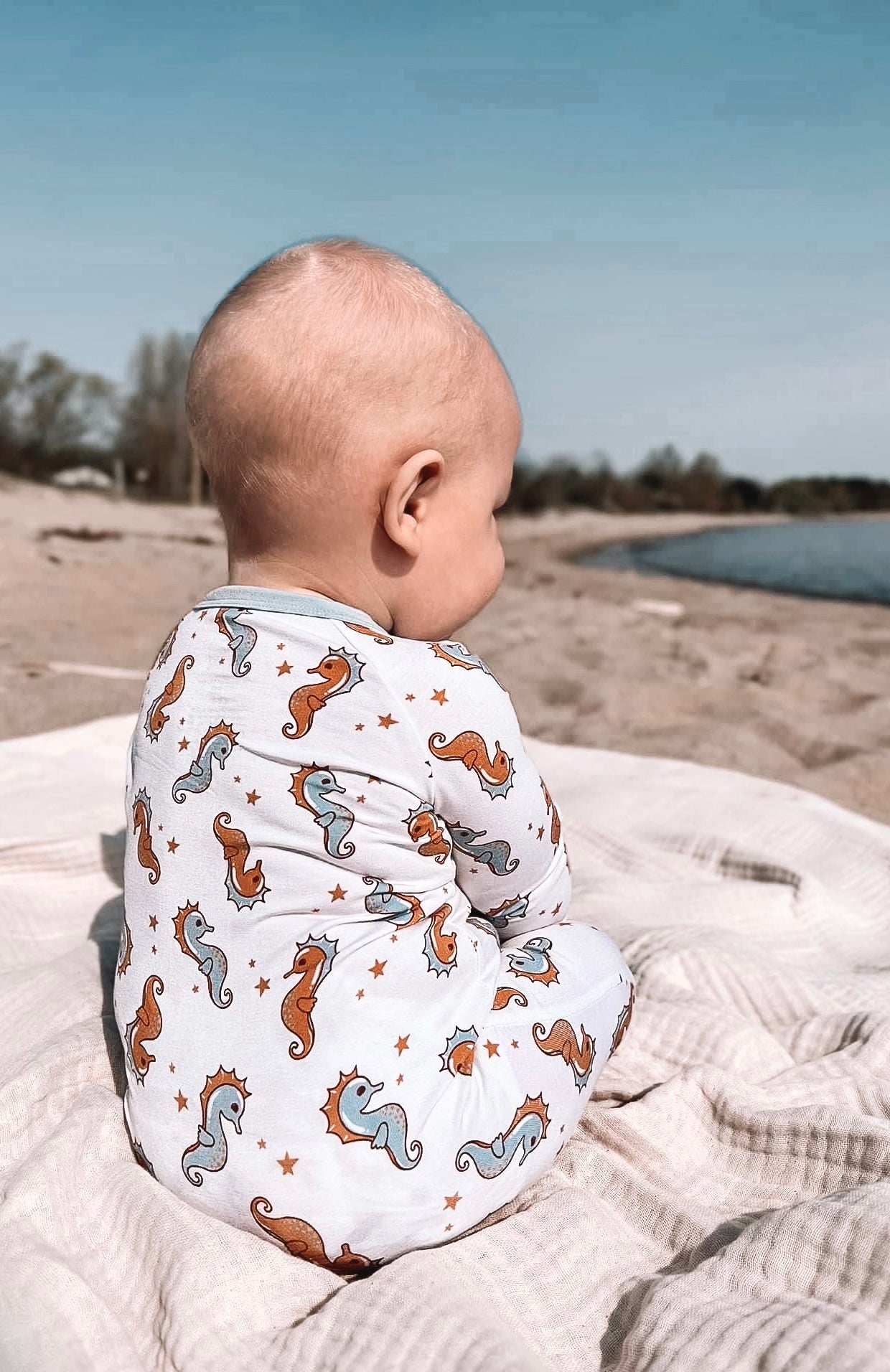 Seahorsin’ Around | Zippy
