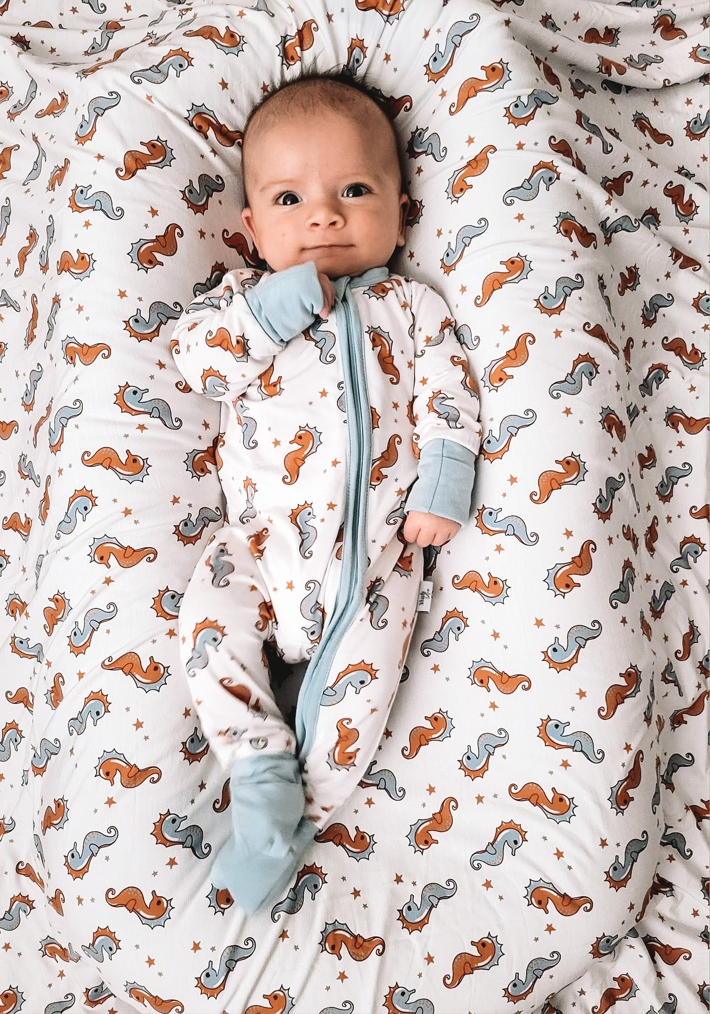 Seahorsin’ Around | Blanket