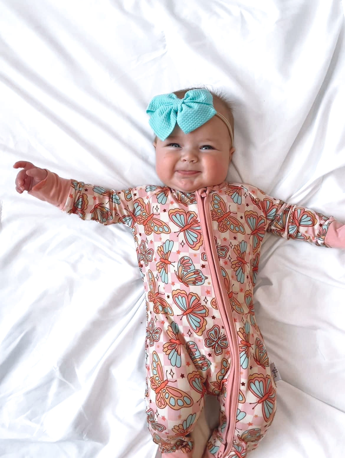 Social Butterfly | Zippy