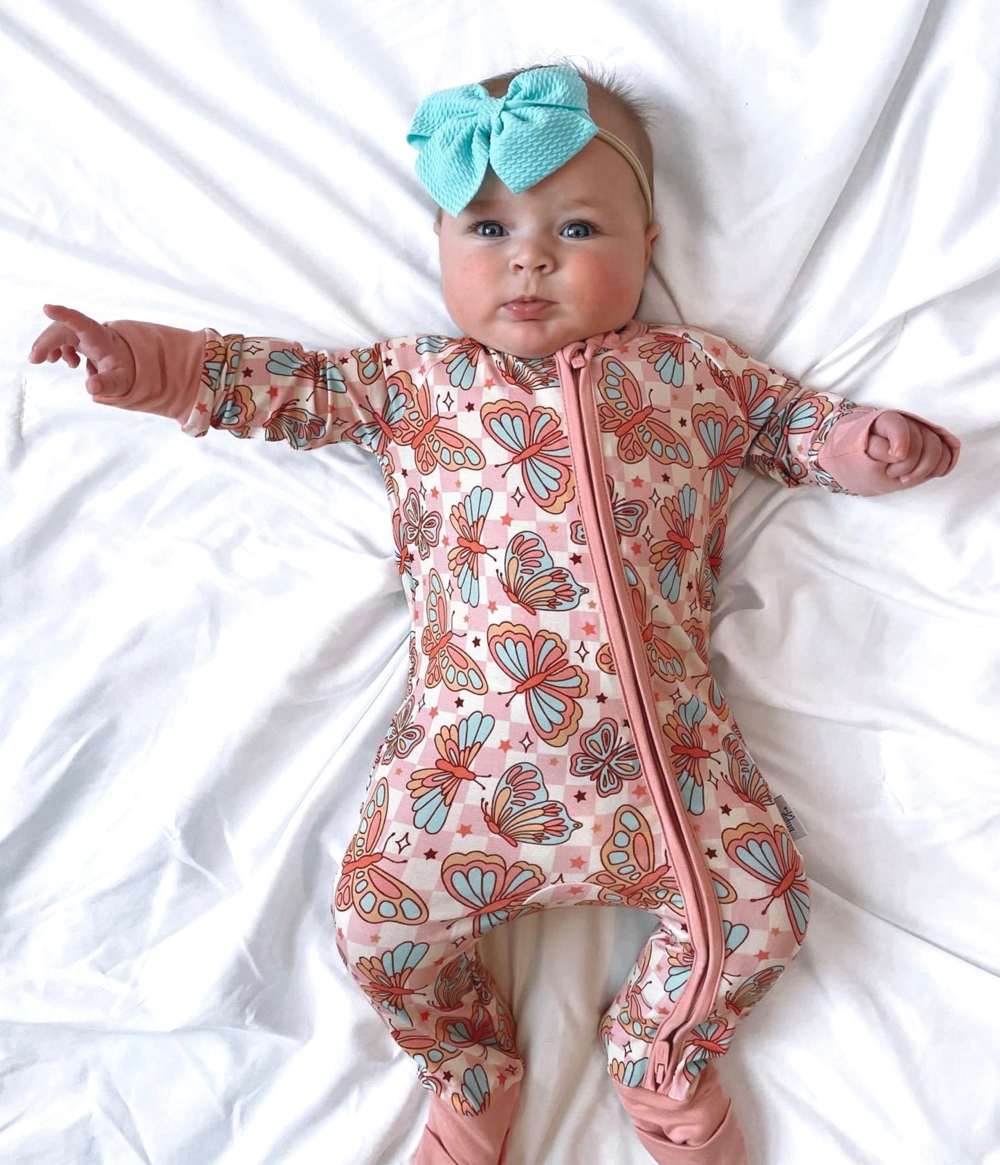 Social Butterfly | Zippy