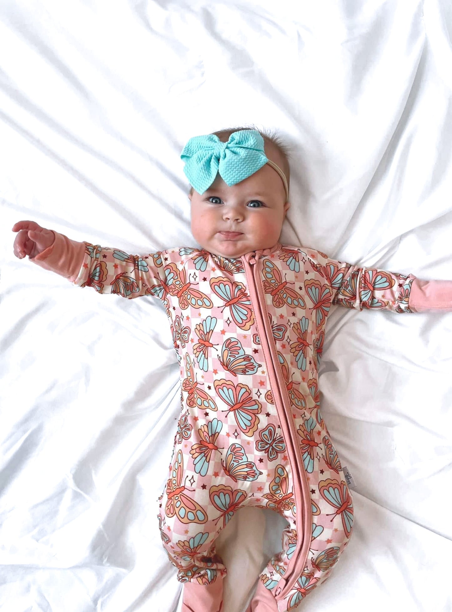 Social Butterfly | Zippy