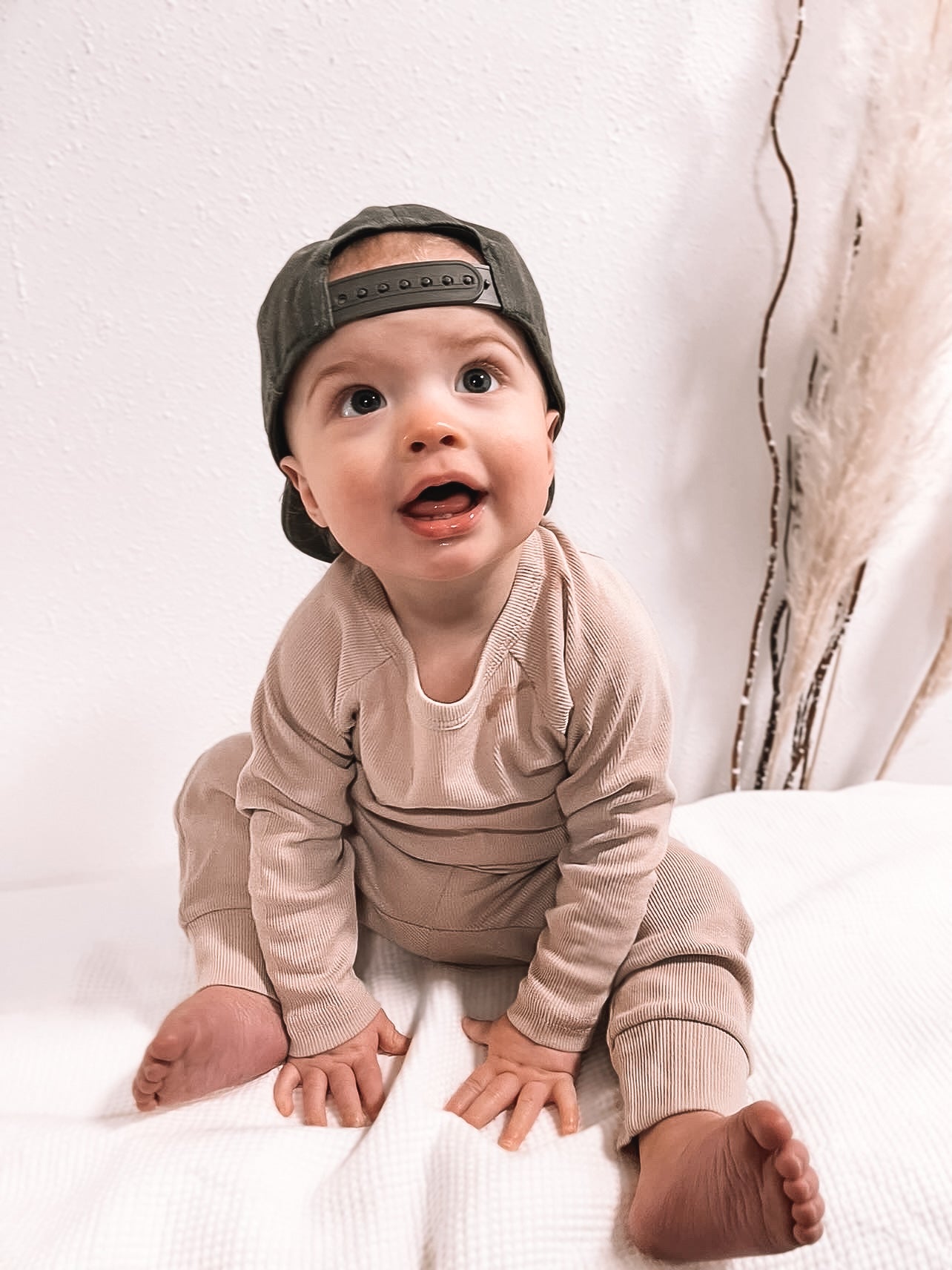 Deacon Set | Warm Oatmeal