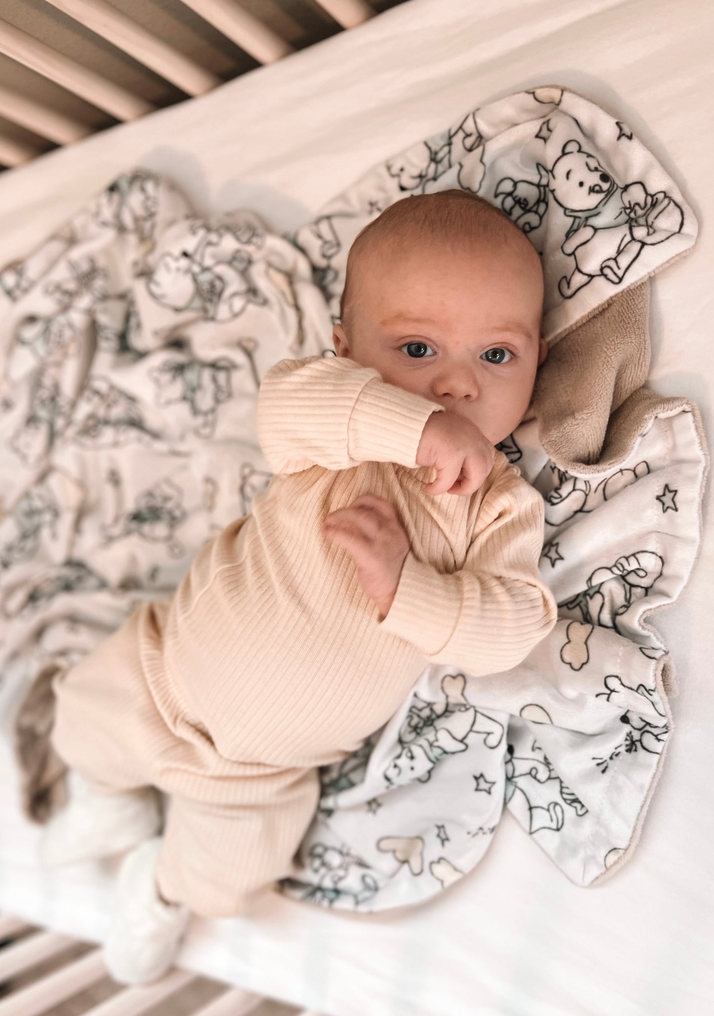 Remy Set | Cream
