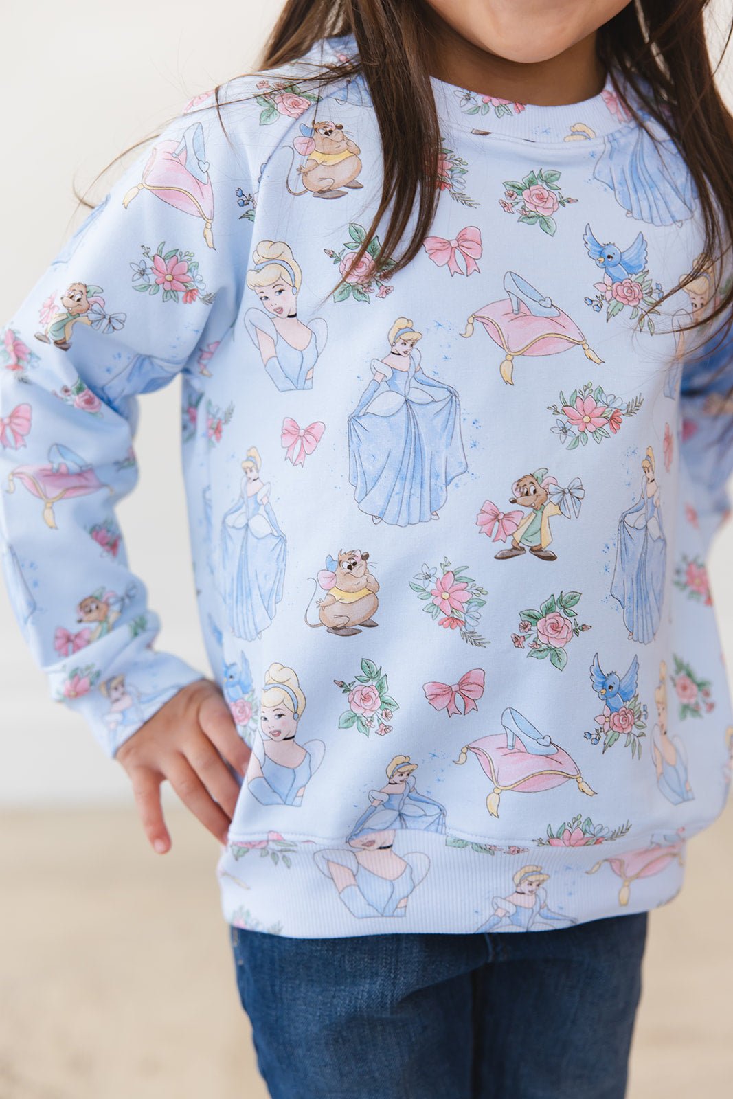 The Lost Slipper - Define Terry Sweatshirt