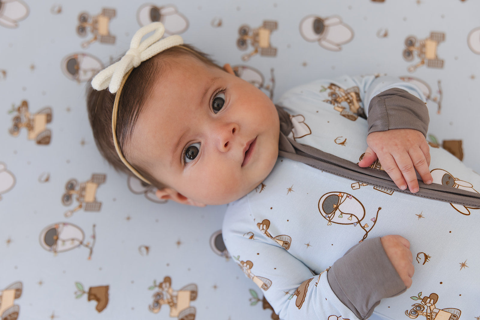 Trash Planet - Crib Sheet