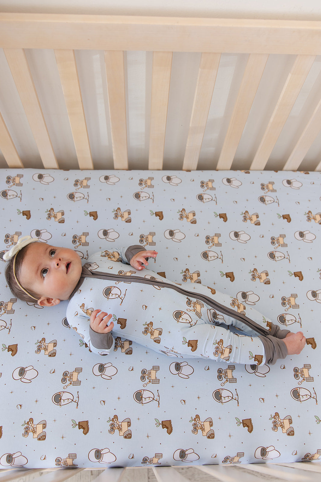 Trash Planet - Zippy