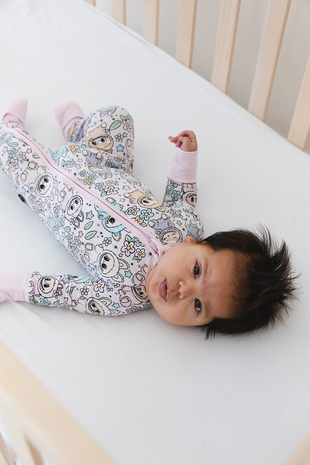 The Monsters - Zippy