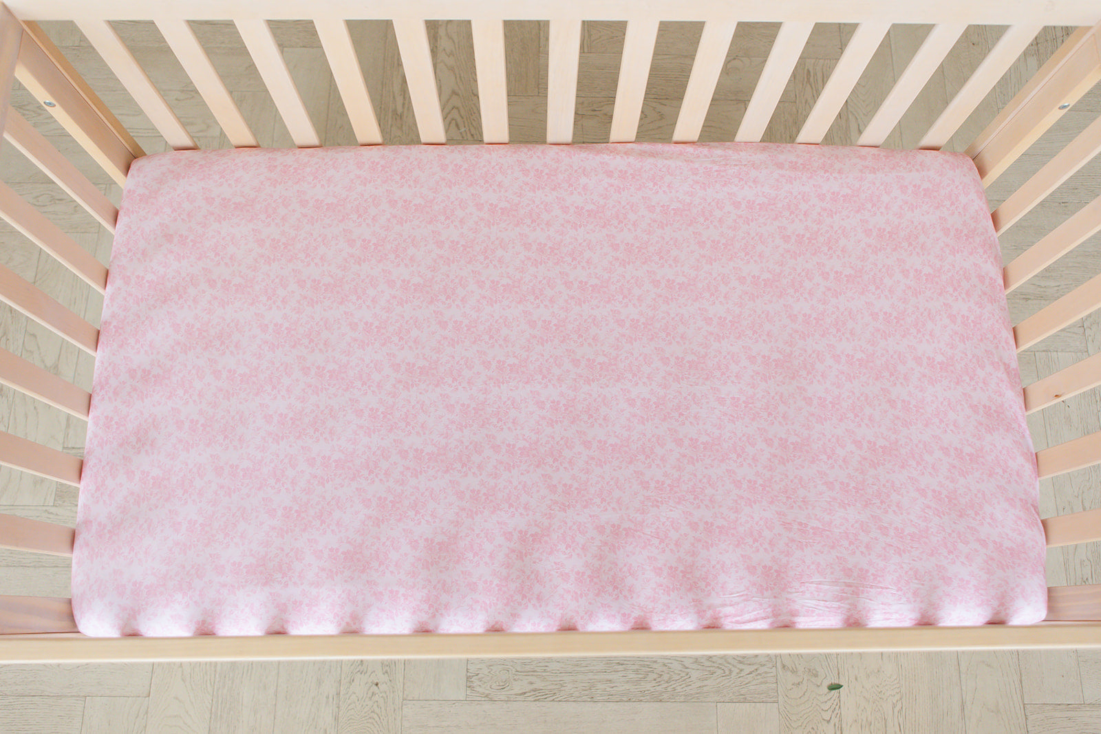 12-16-2024_Blush_Lotus-378_websize.jpg