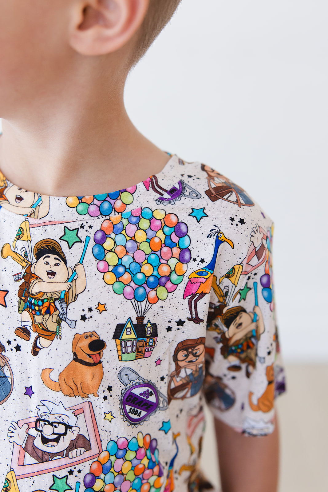 Paradise Falls  - Everyday Tee