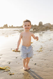 Light Blue Gingham Swim Shorts