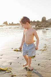 Light Blue Gingham Swim Shorts