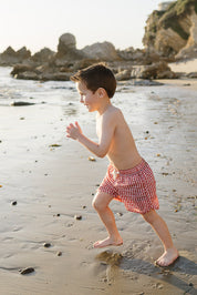 Gingham Swim Shorts