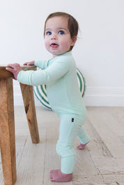 (SOLID, ribbed) Lion Around - Zippy