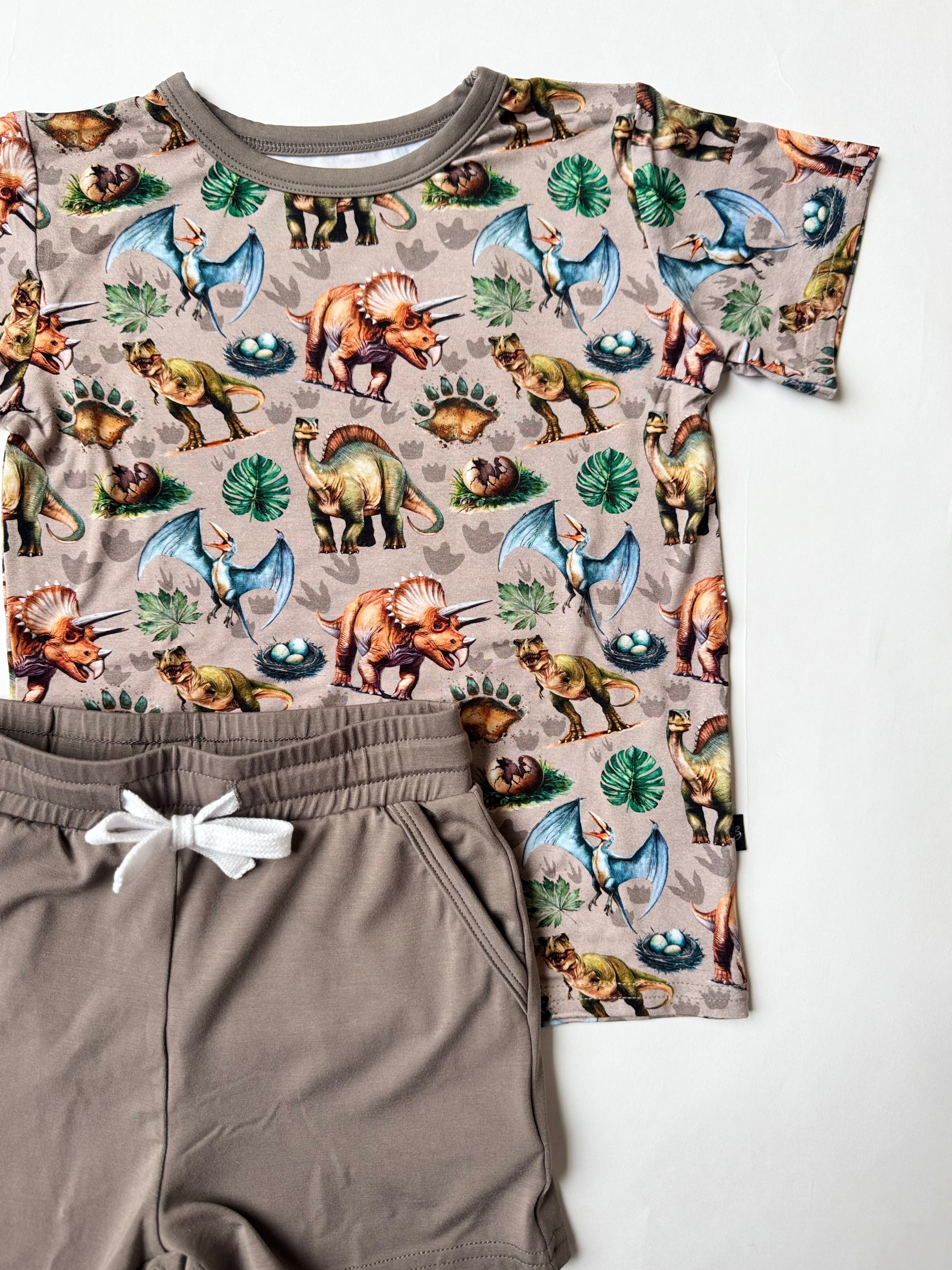 Dinos: Pocket Short & Tee