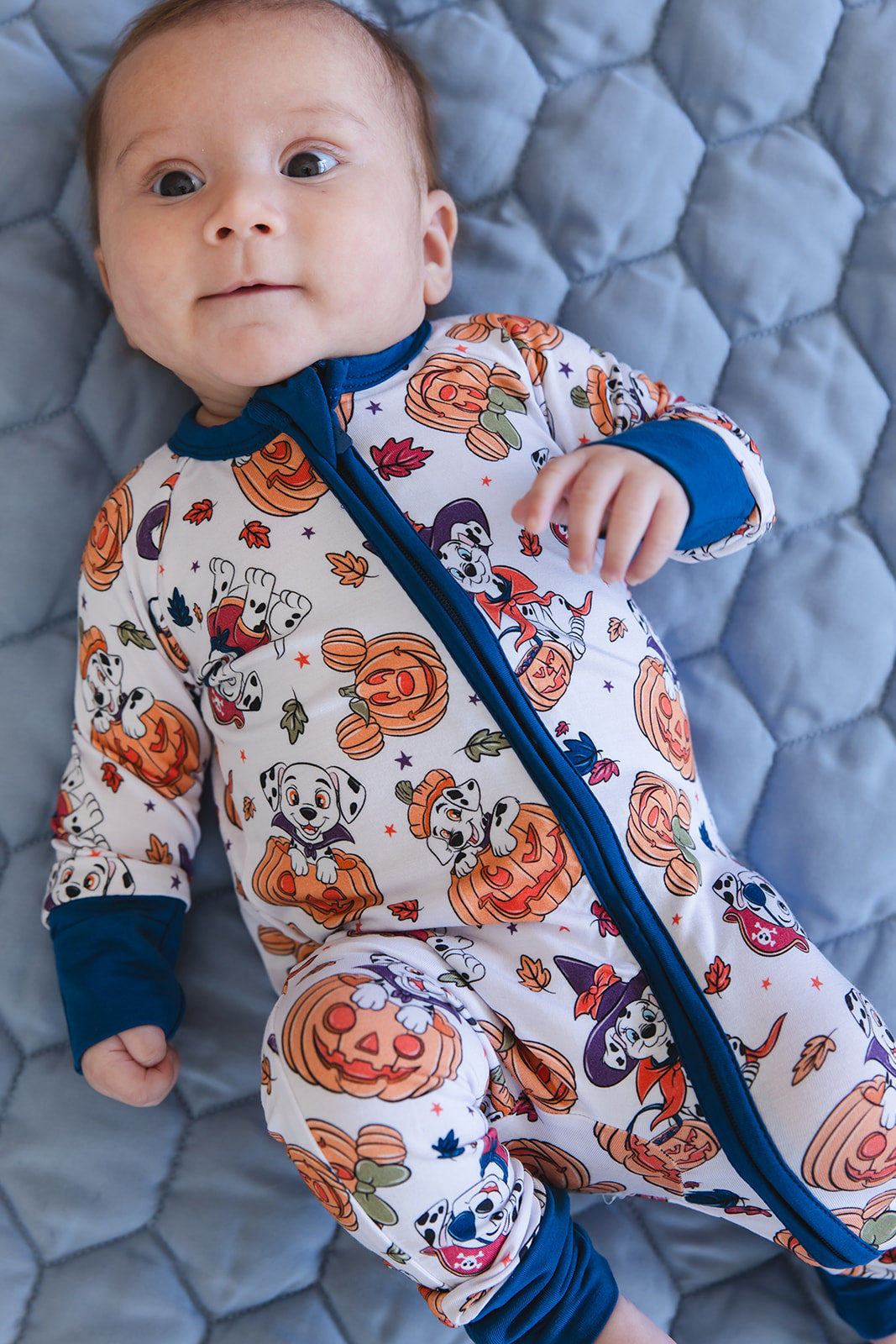 HOWL-O-WEEN - Zippy