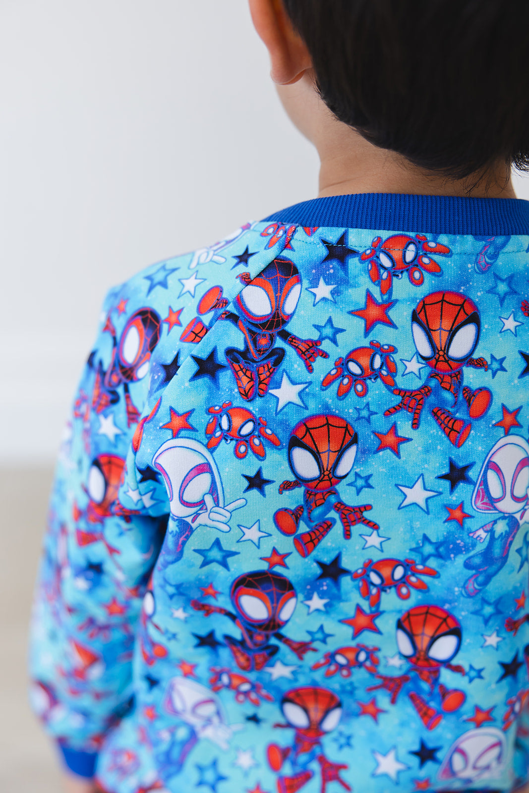 Web Rush - Define Terry Sweatshirt