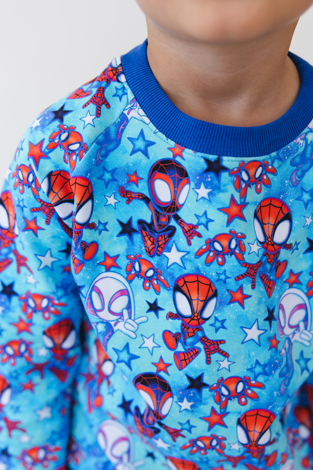 Web Rush - Define Terry Sweatshirt