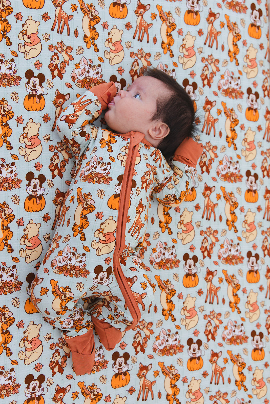 Autumn Adventures - Zippy