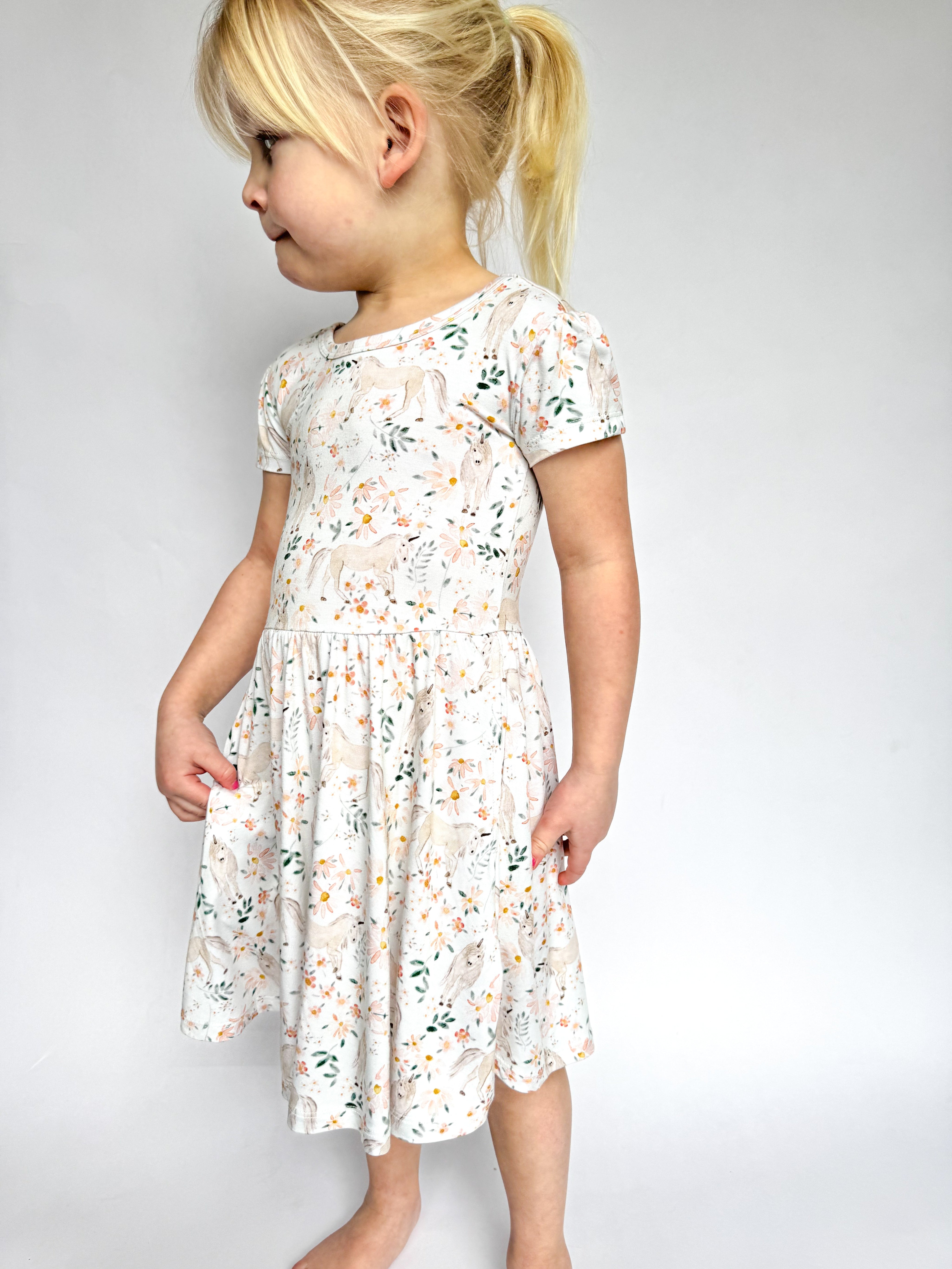 Enchanted: Skater Dress