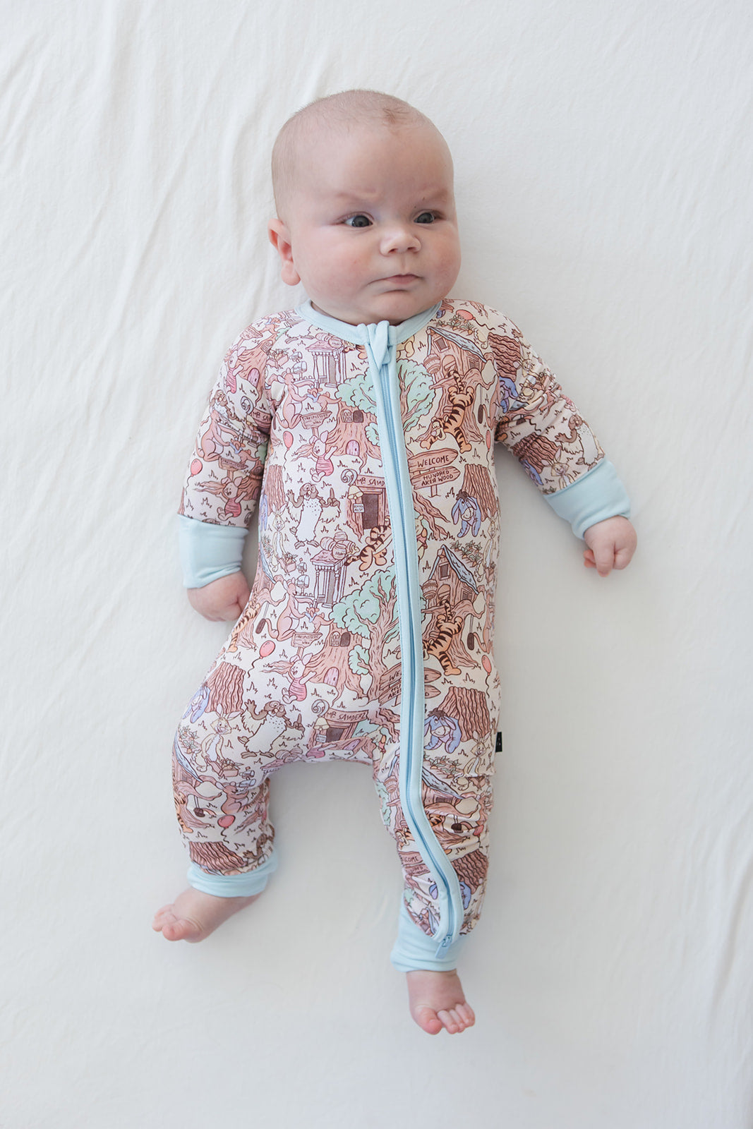 Hundred Acre Wood - Zippy