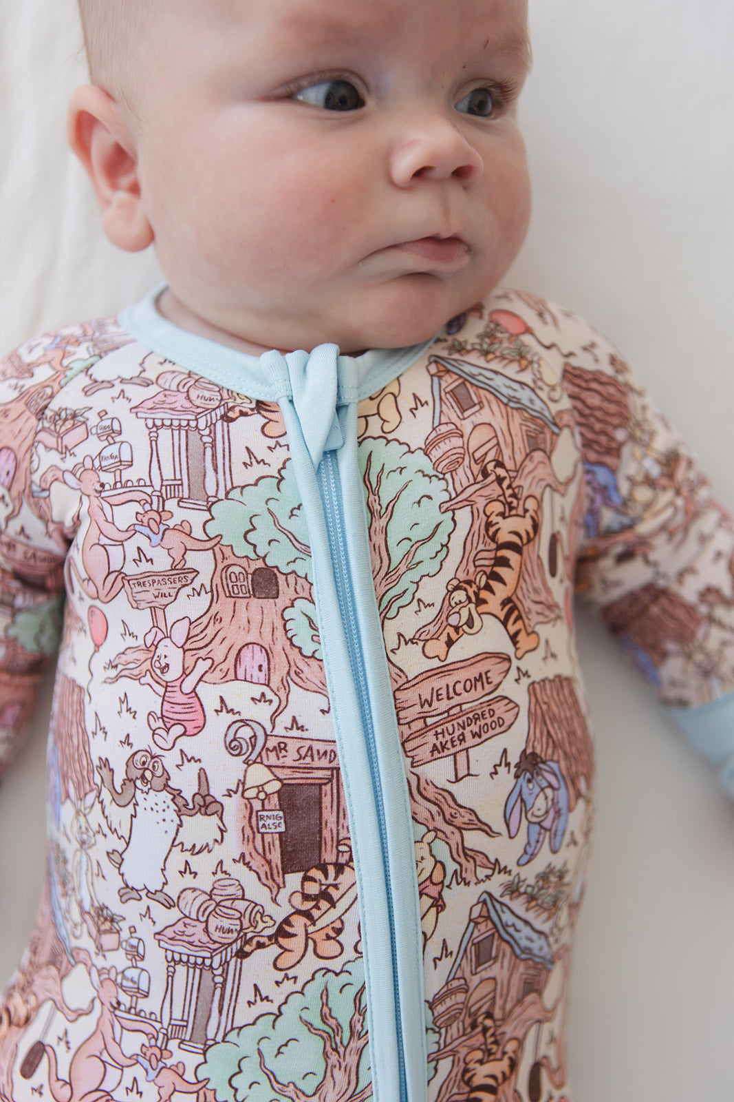 Hundred Acre Wood - Zippy