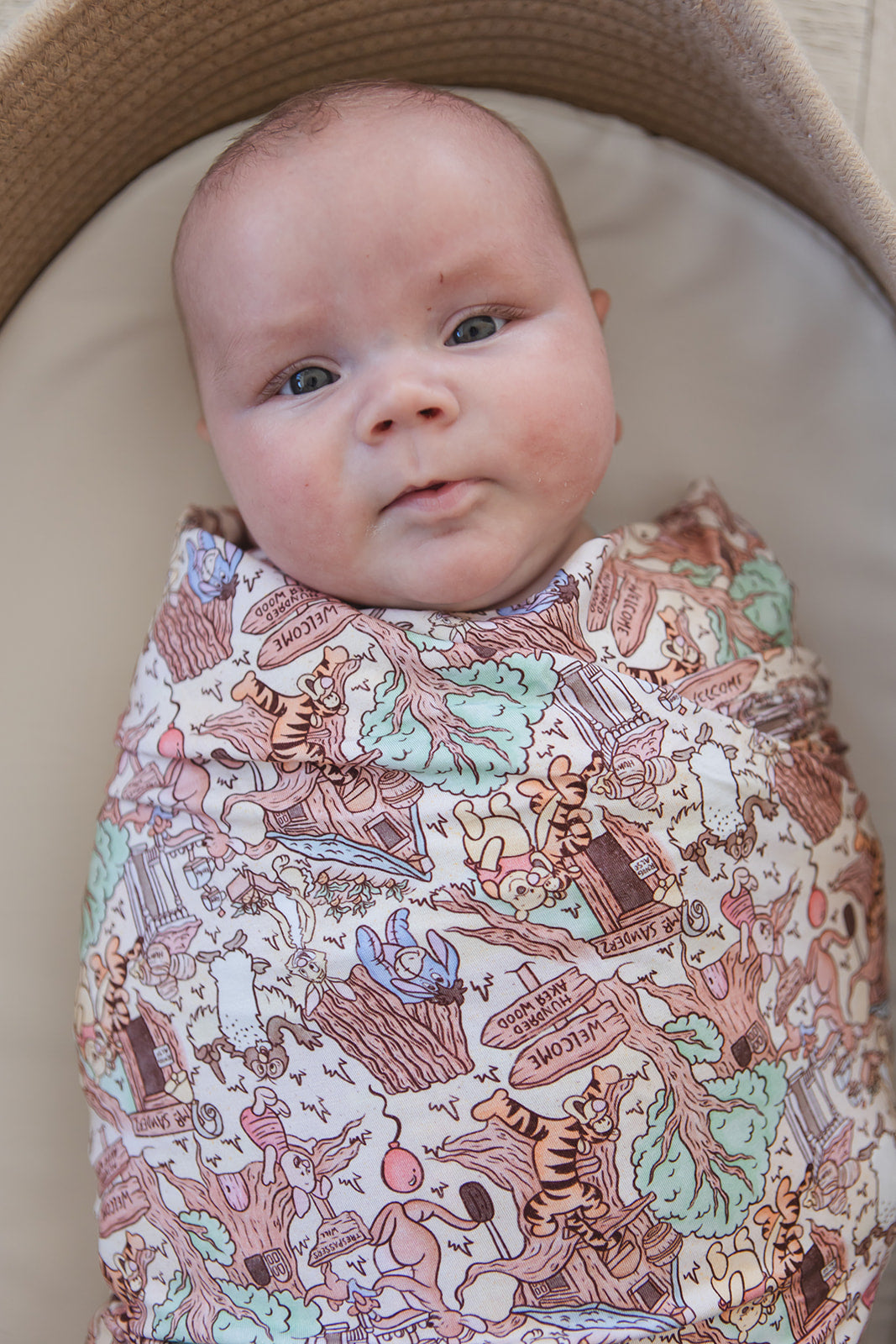 Hundred Acre Wood - Lightweight Blanket