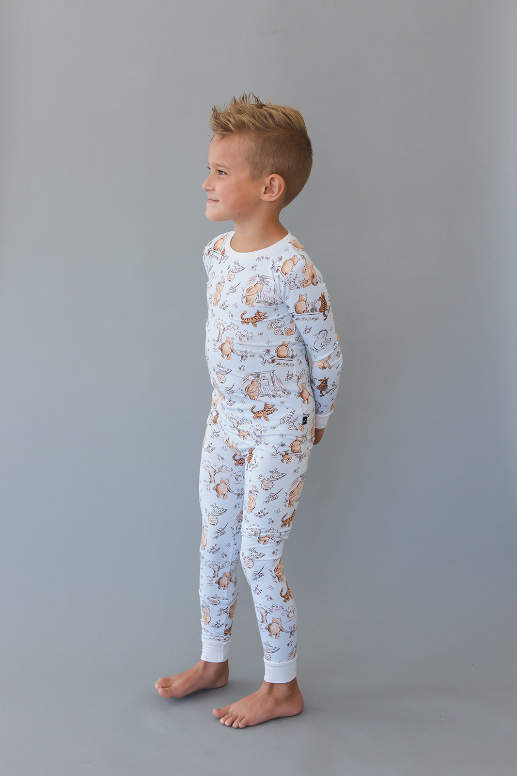 Silly Old Bear - Set