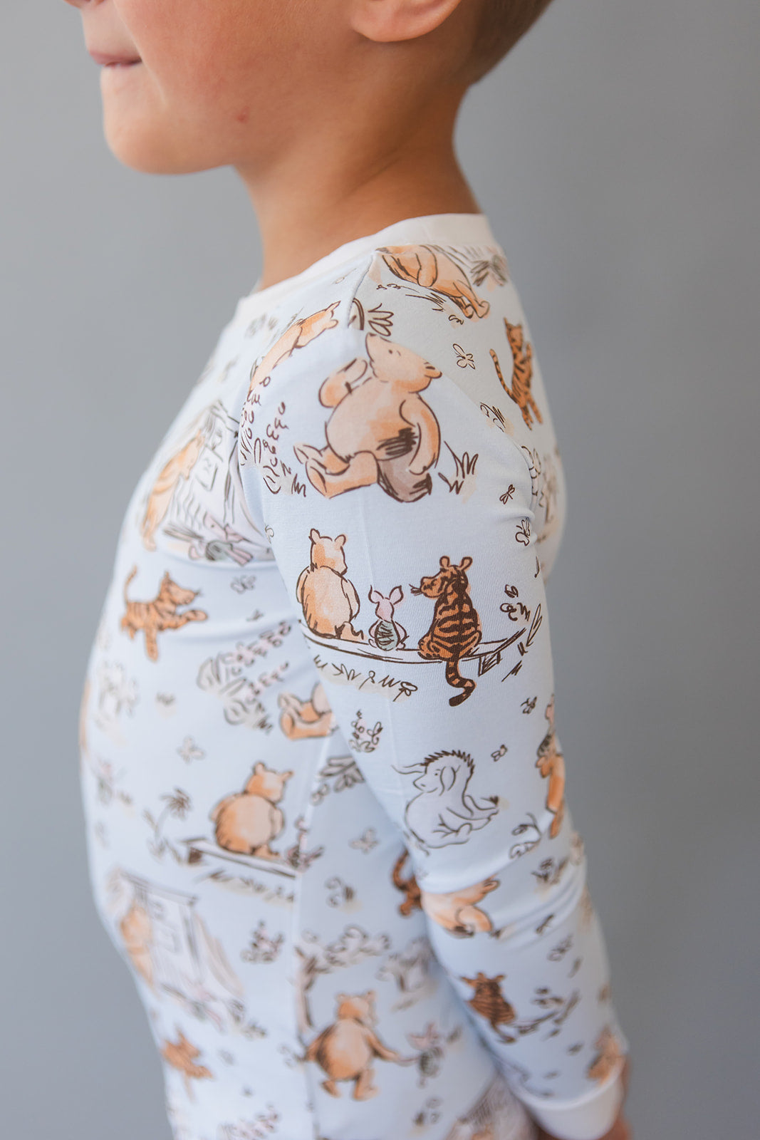 Silly Old Bear - Set