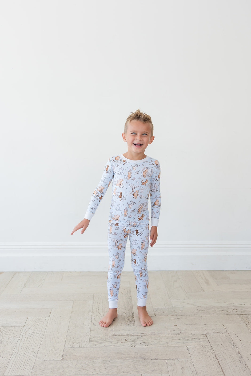 Silly Old Bear - Set