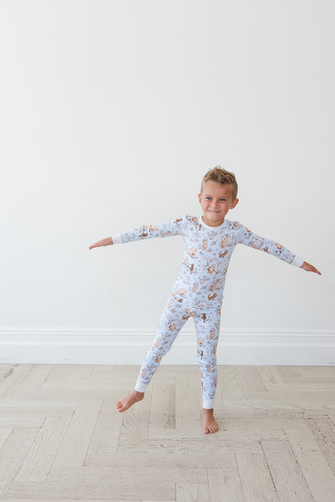 Silly Old Bear - Set