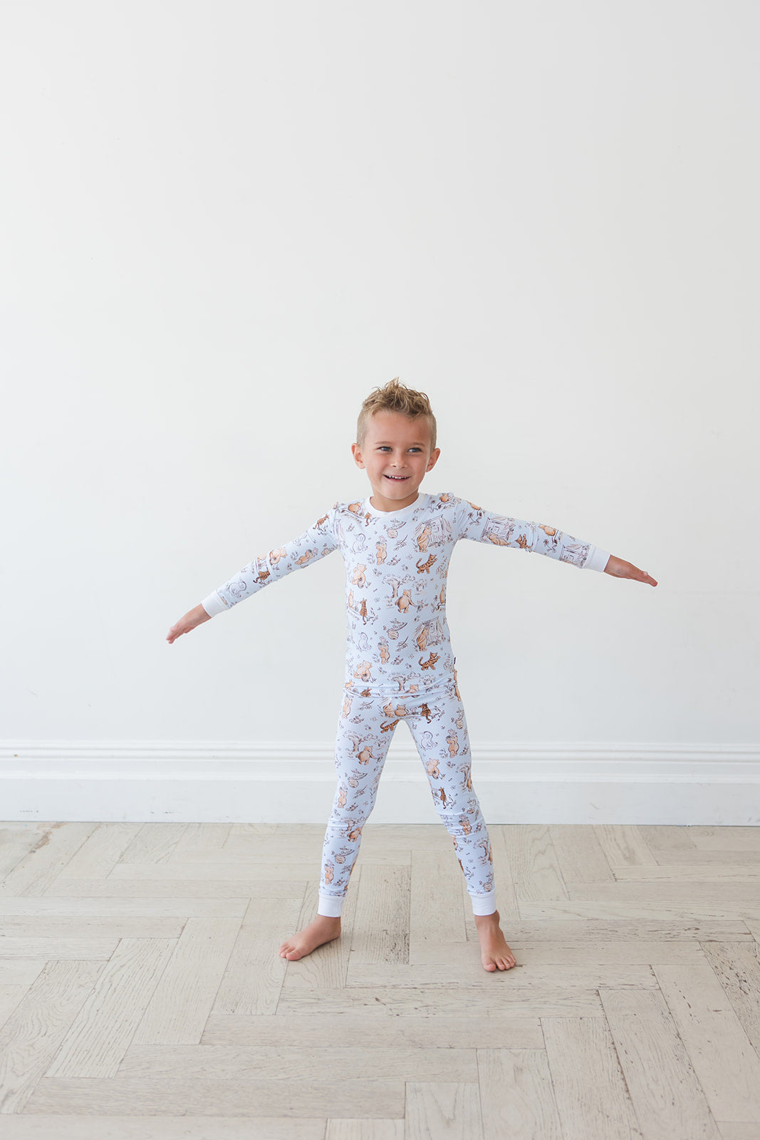 Silly Old Bear - Set