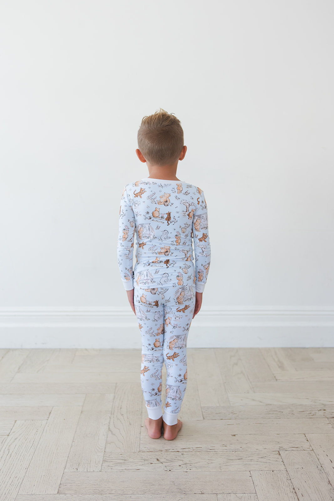 Silly Old Bear - Set