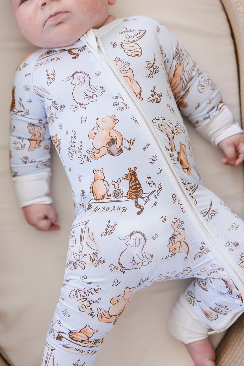 Silly Old Bear -  Zippy