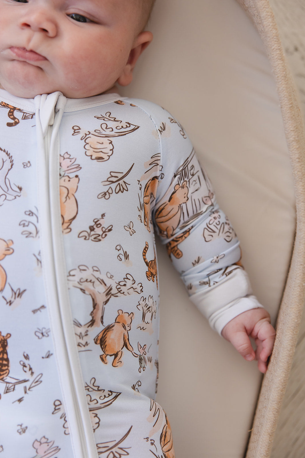 Silly Old Bear -  Zippy