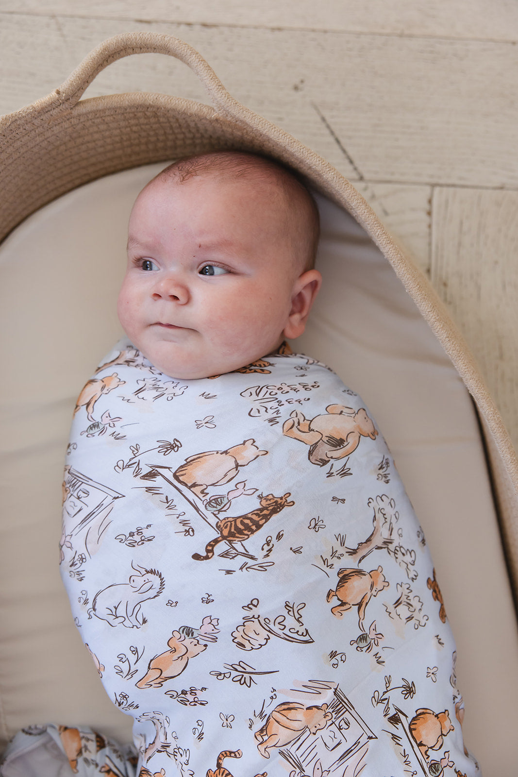 Silly Old Bear - Lightweight Blanket