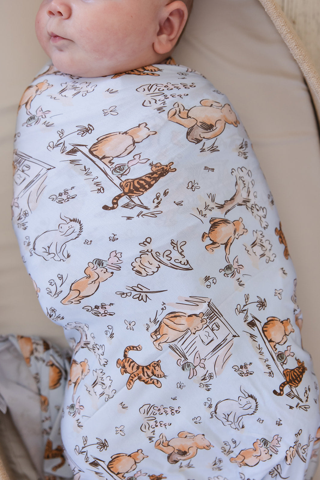 Silly Old Bear - Lightweight Blanket