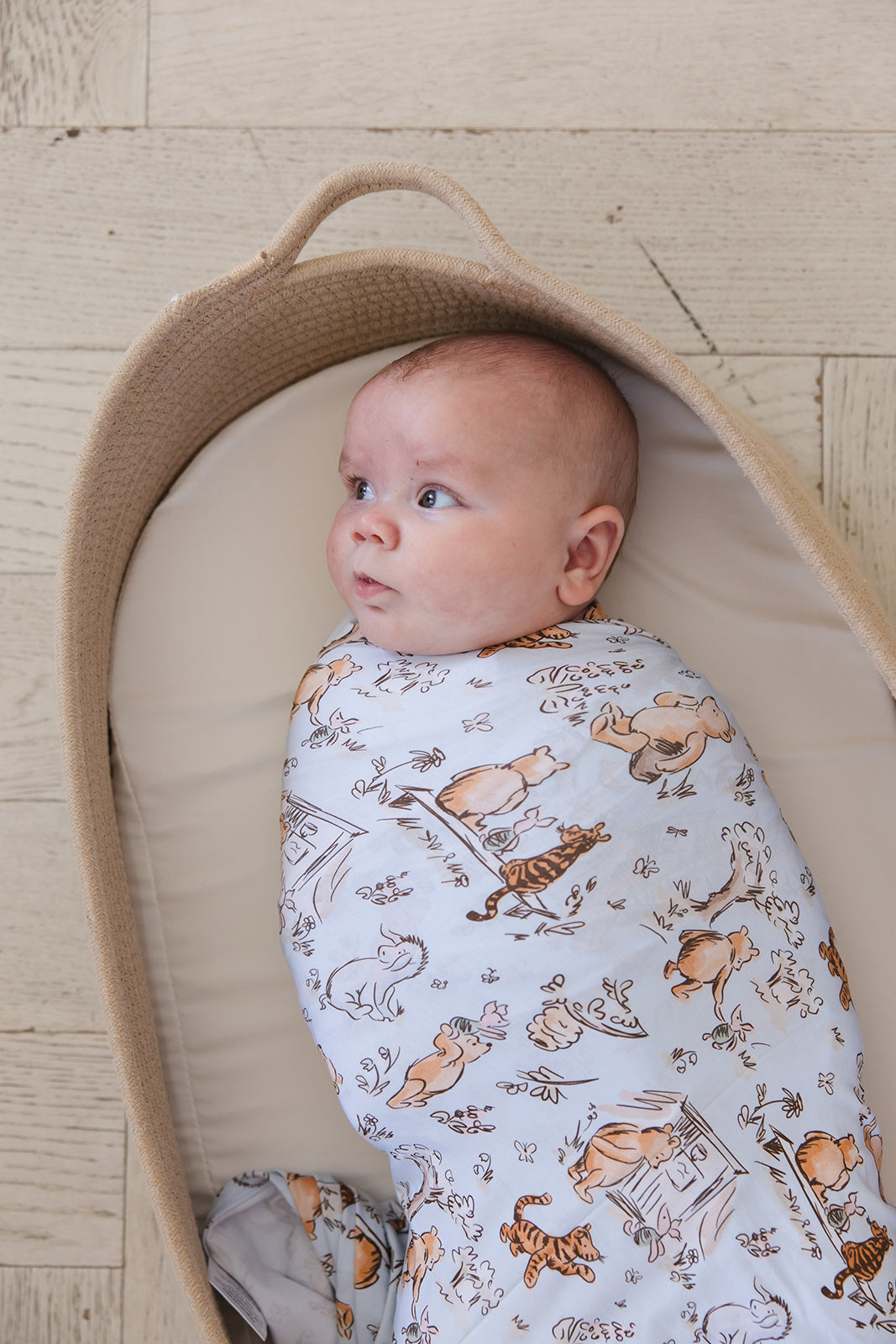 Silly Old Bear - Lightweight Blanket