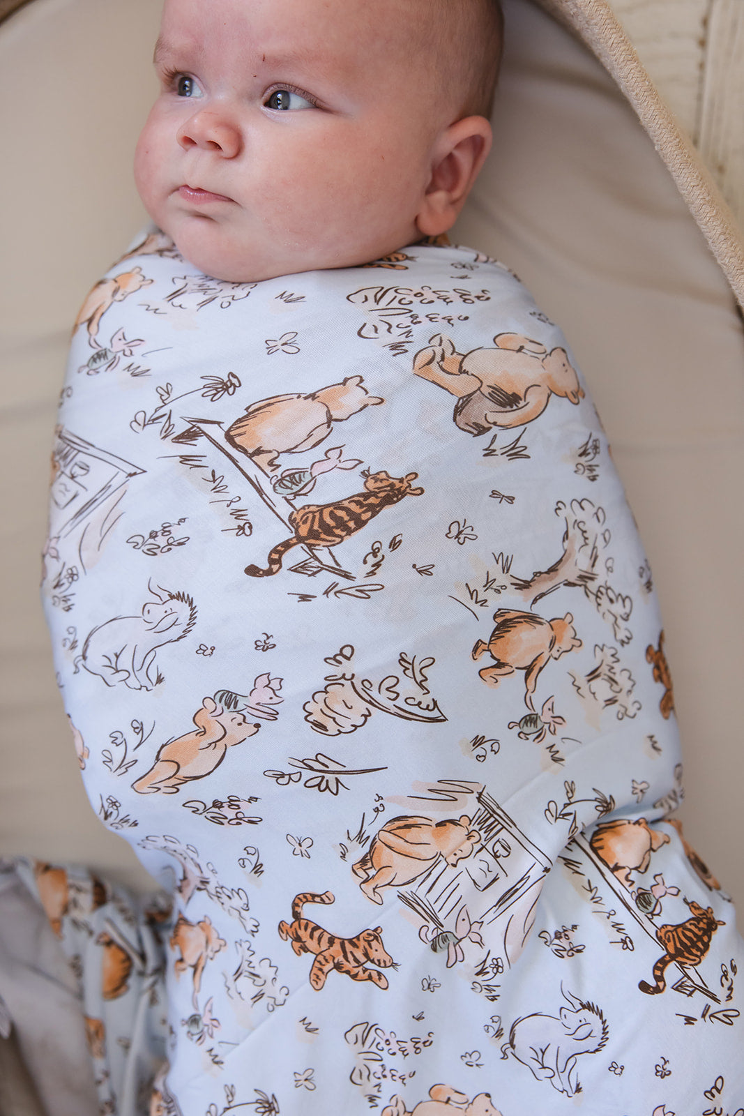 Silly Old Bear - Lightweight Blanket