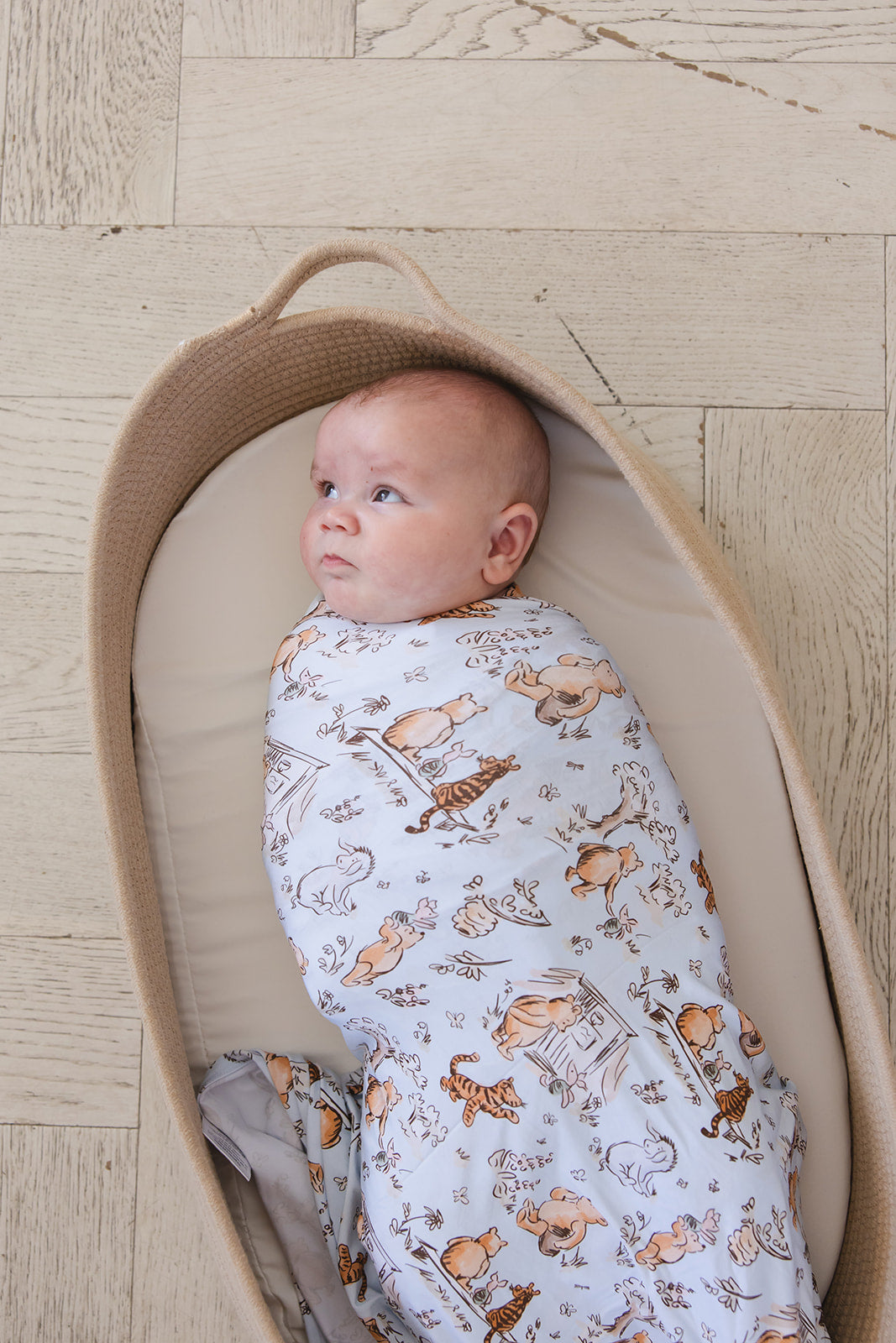 Silly Old Bear - Lightweight Blanket