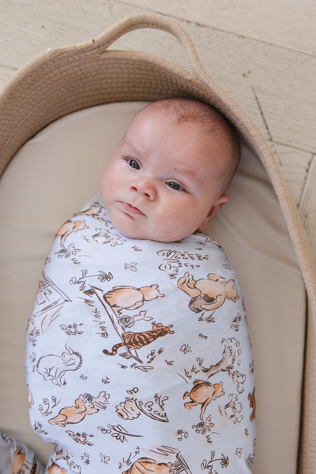 Silly Old Bear - Lightweight Blanket