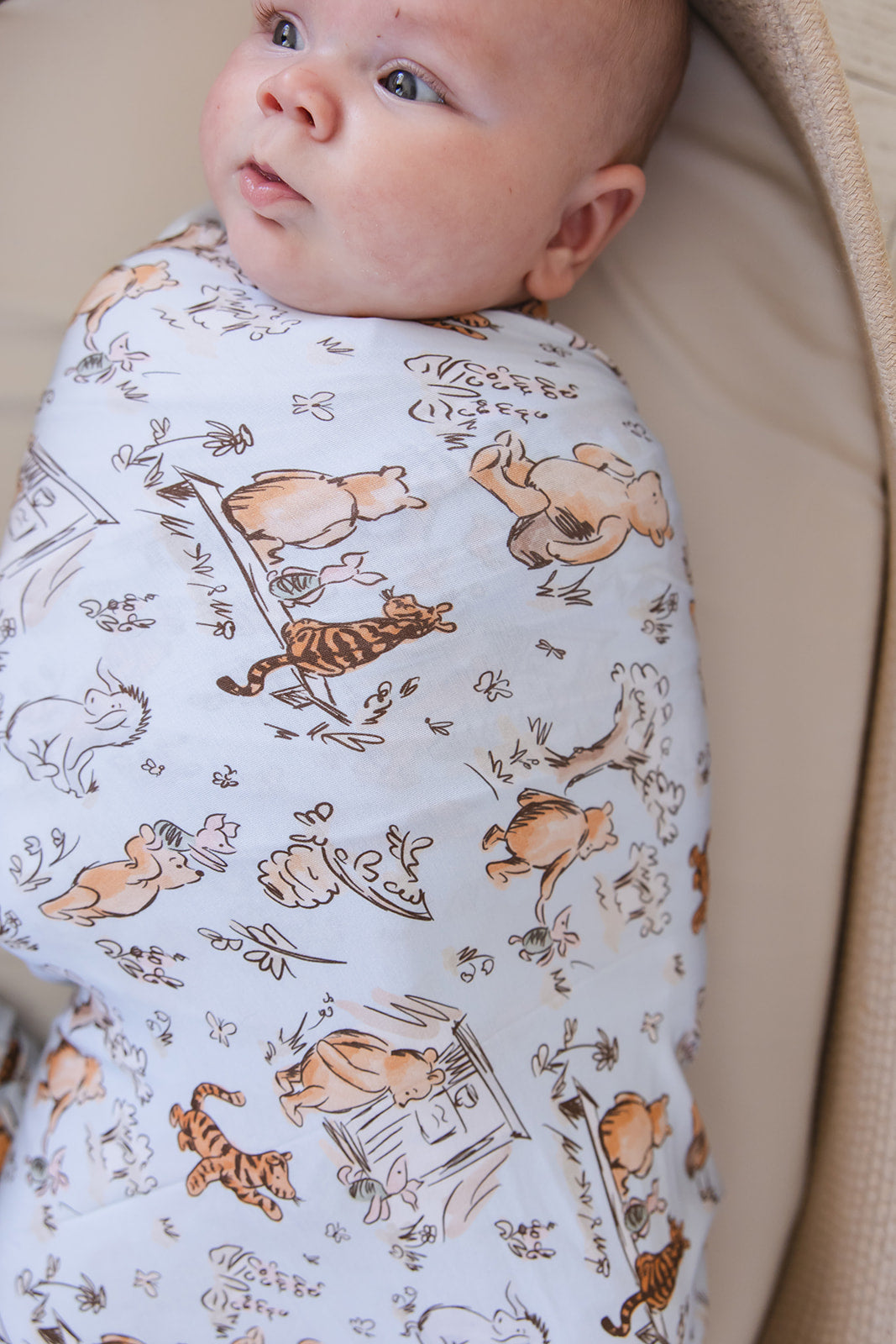 Silly Old Bear - Lightweight Blanket