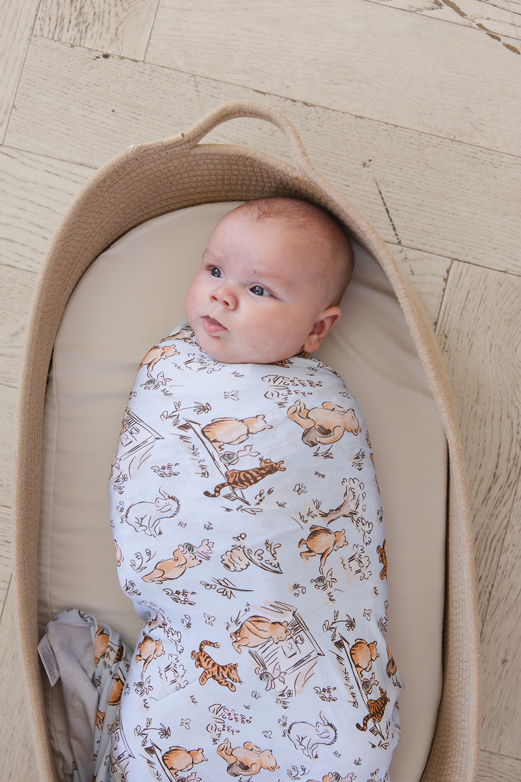 Silly Old Bear - Lightweight Blanket