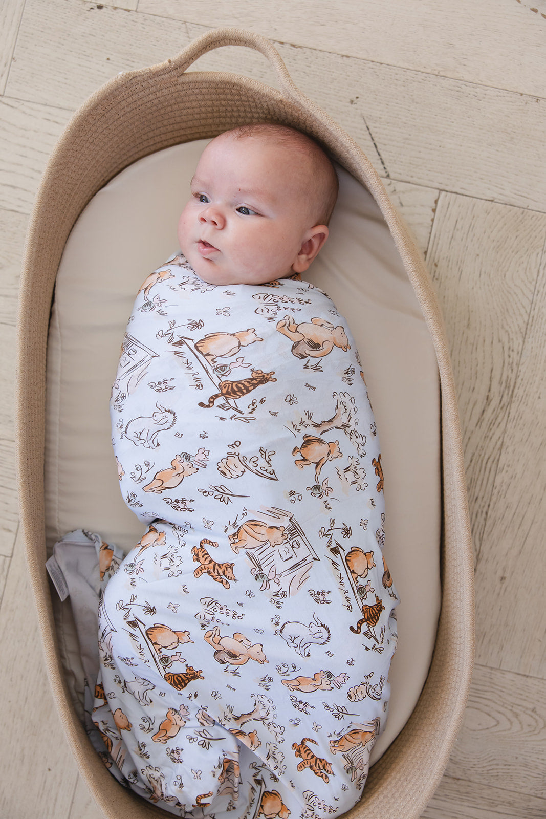 Silly Old Bear - Lightweight Blanket