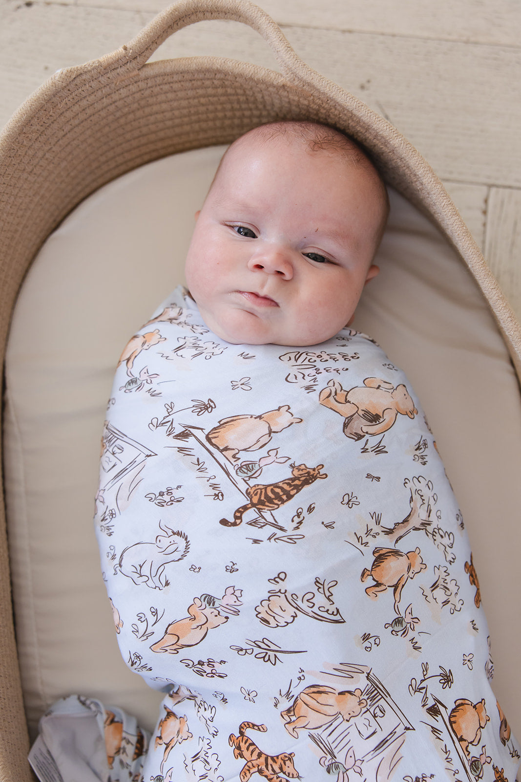 Silly Old Bear - Lightweight Blanket