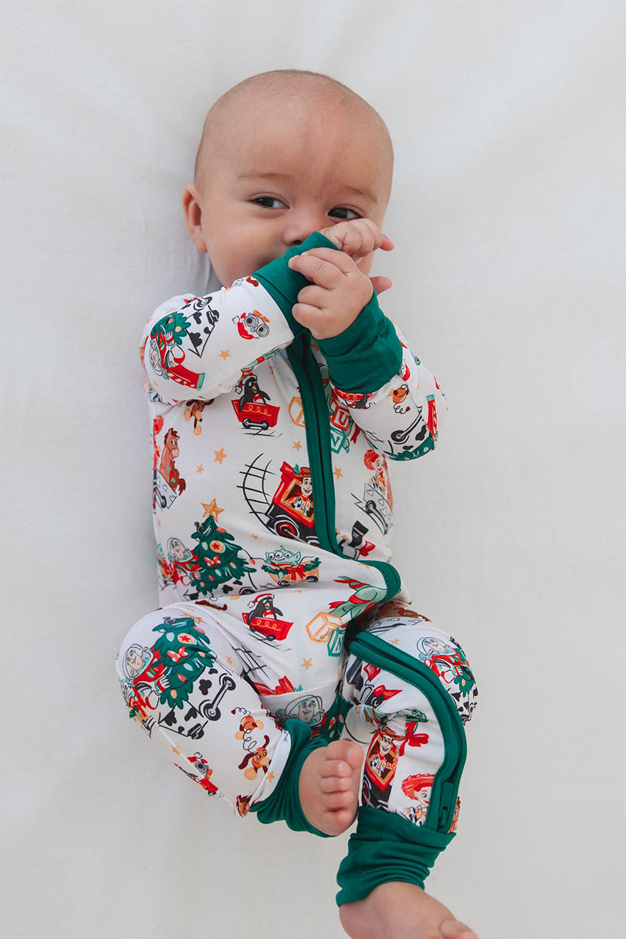 Festive Fun - Zippy