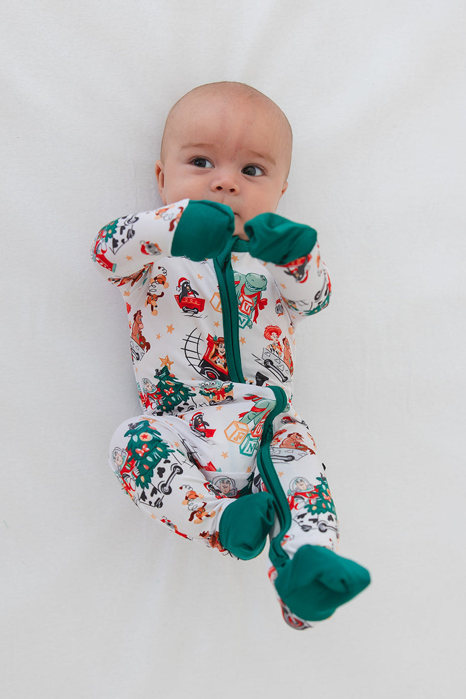 Festive Fun - Zippy