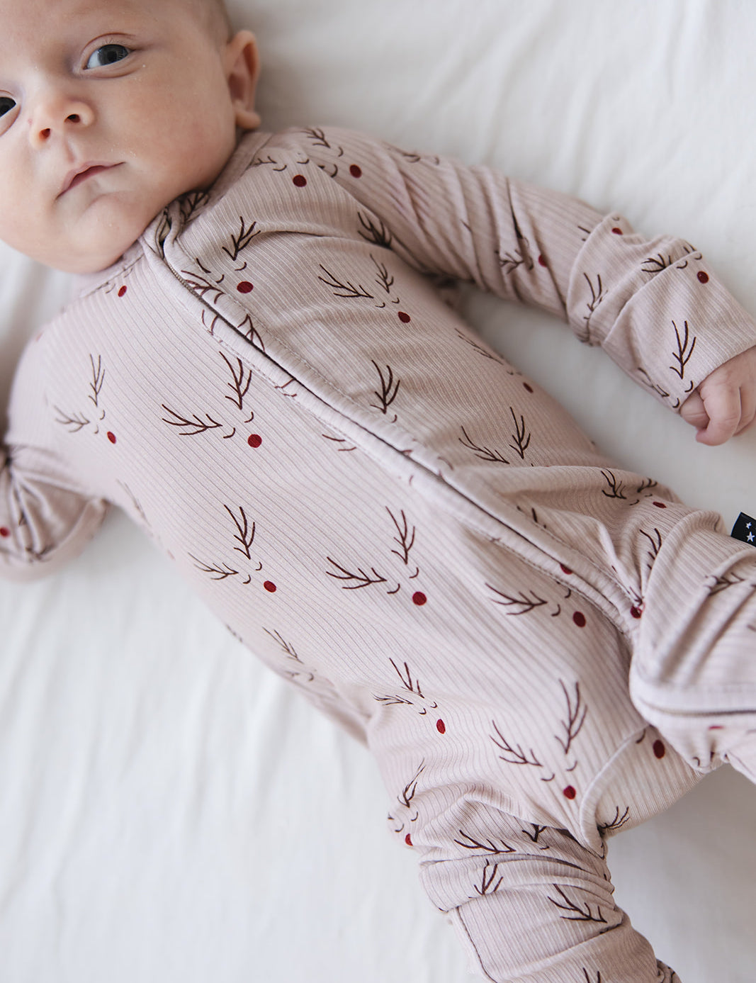 9-30-2025Blush-167.jpg