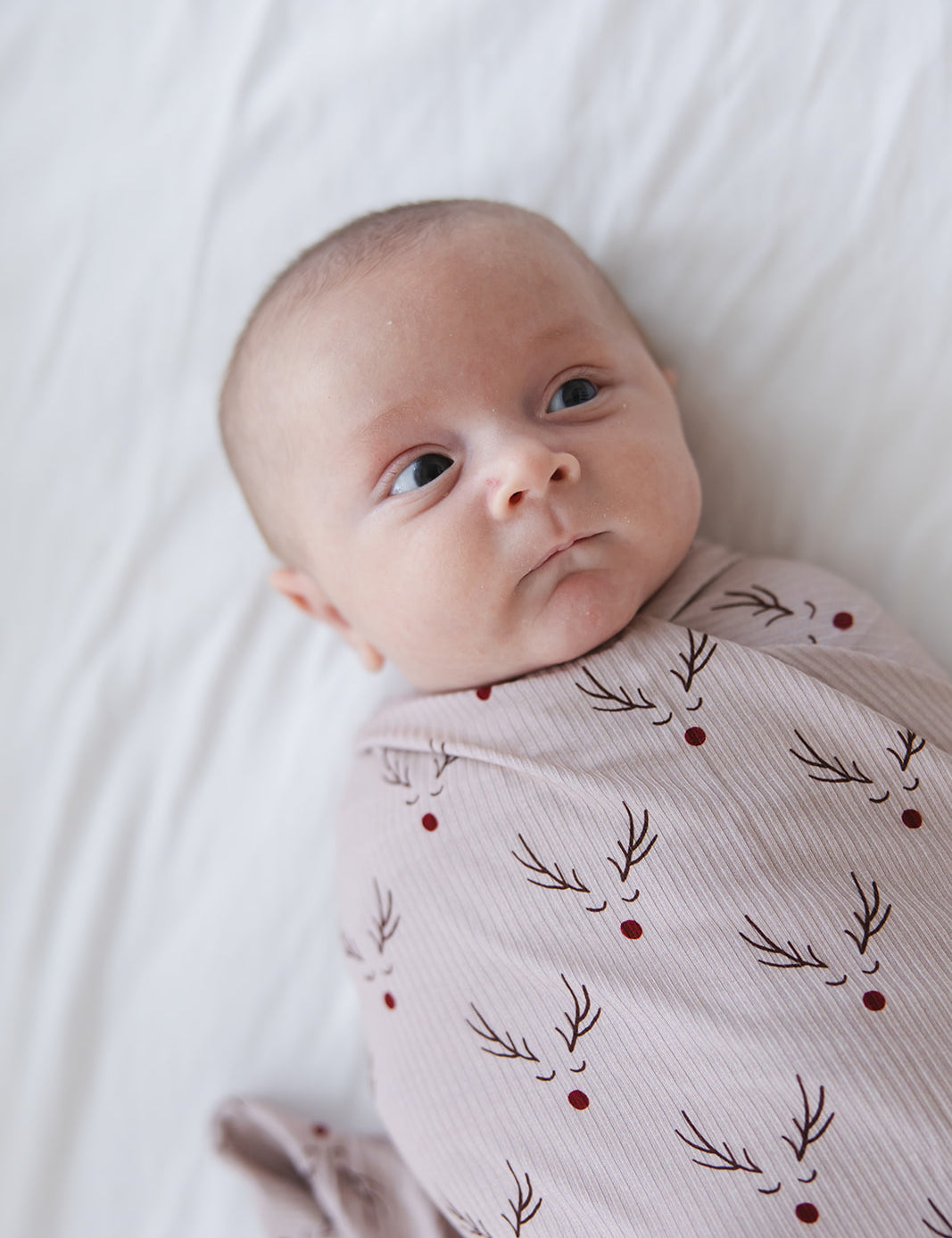 9-30-2025Blush-187.jpg