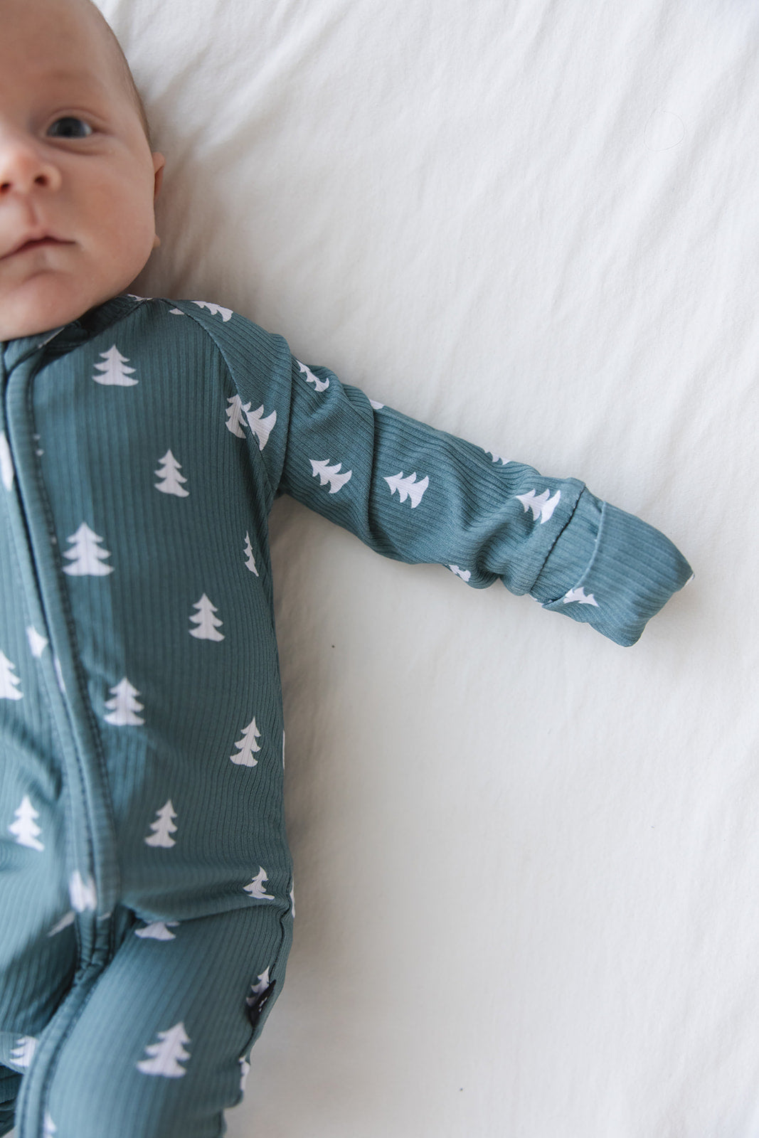 Northern Pine (ribbed) - Zippy