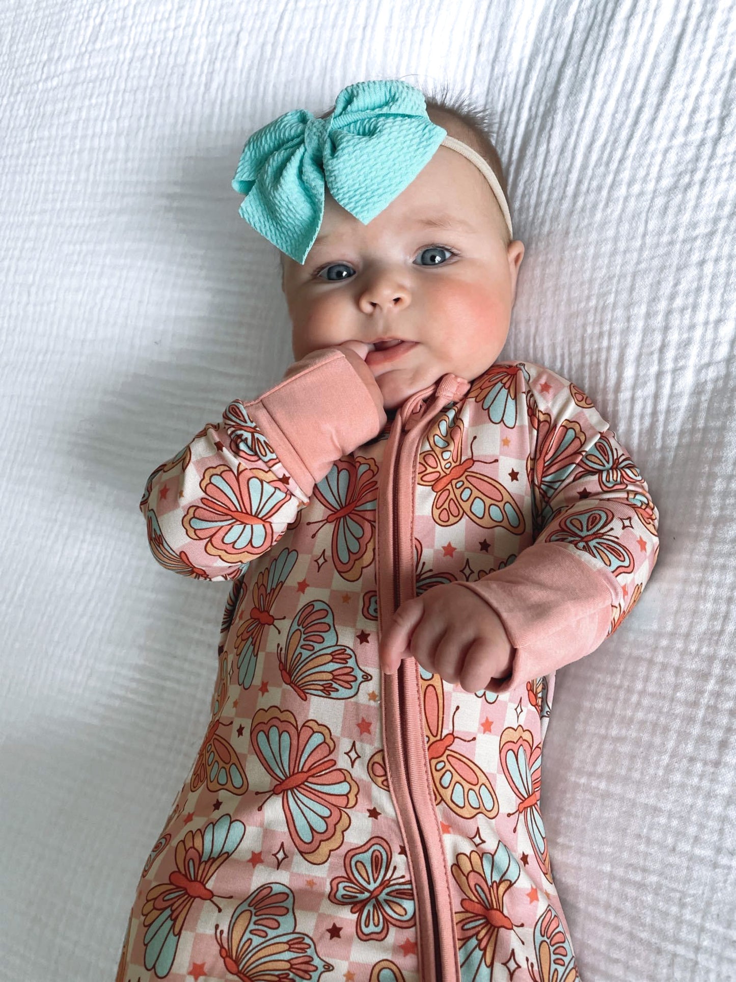 Social Butterfly | Zippy